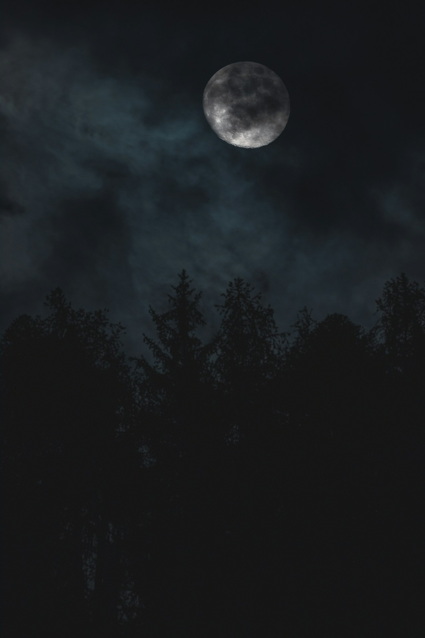 Music of Midnight Prologue